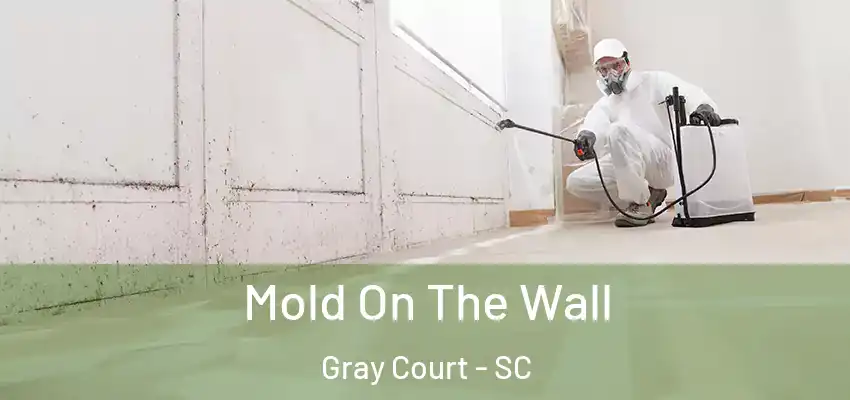  Mold On The Wall Gray Court - SC