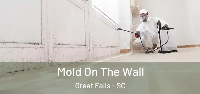  Mold On The Wall Great Falls - SC