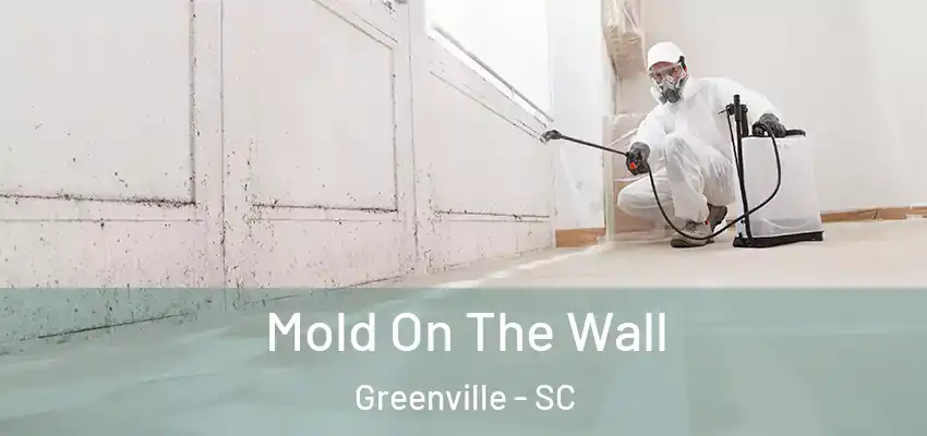  Mold On The Wall Greenville - SC