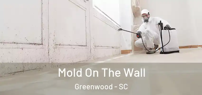  Mold On The Wall Greenwood - SC
