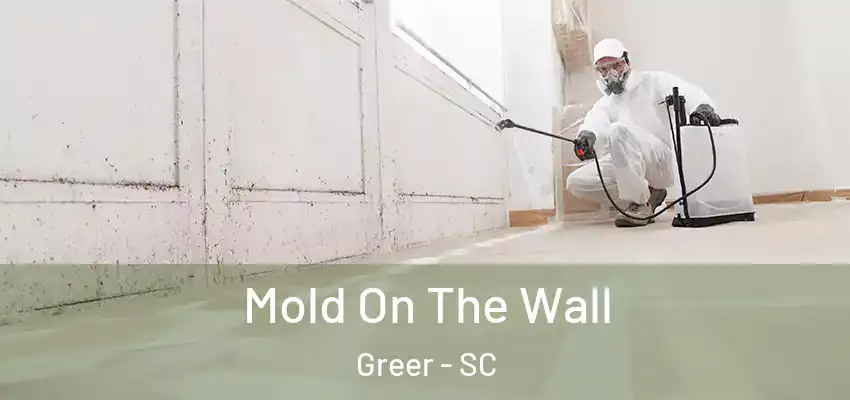  Mold On The Wall Greer - SC
