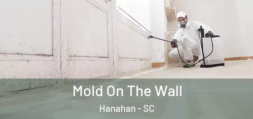 Mold On The Wall Hanahan - SC