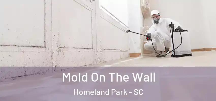 Mold On The Wall Homeland Park - SC