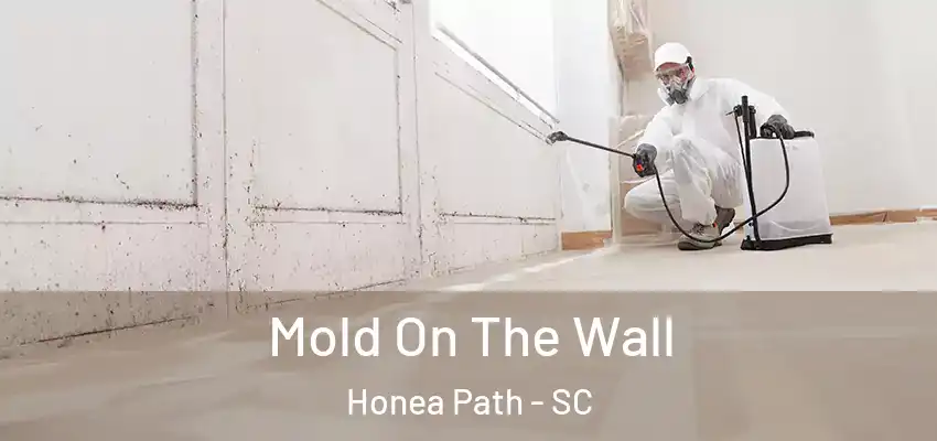  Mold On The Wall Honea Path - SC