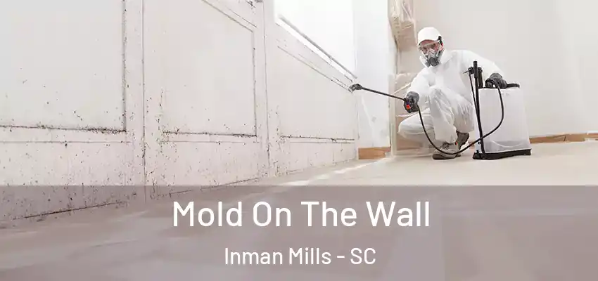  Mold On The Wall Inman Mills - SC
