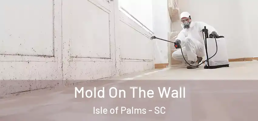Mold On The Wall Isle of Palms - SC