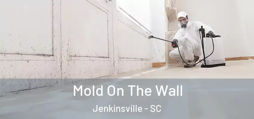  Mold On The Wall Jenkinsville - SC
