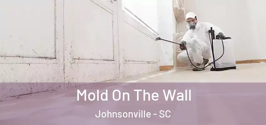  Mold On The Wall Johnsonville - SC