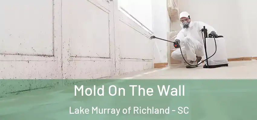 Mold On The Wall Lake Murray of Richland - SC