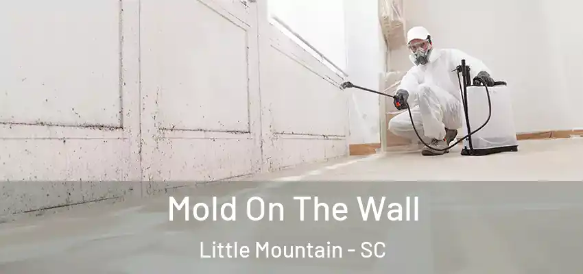 Mold On The Wall Little Mountain - SC