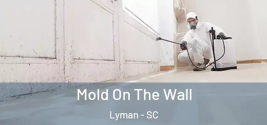Mold On The Wall Lyman - SC
