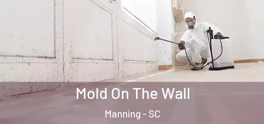  Mold On The Wall Manning - SC