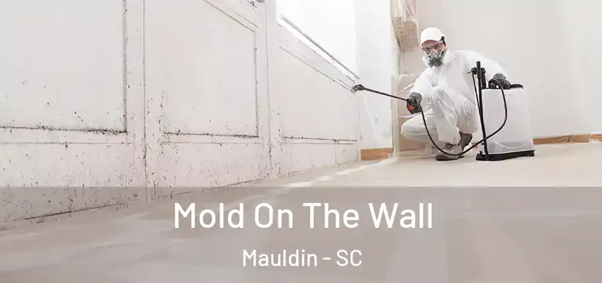 Mold On The Wall Mauldin - SC