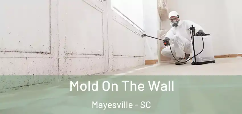  Mold On The Wall Mayesville - SC