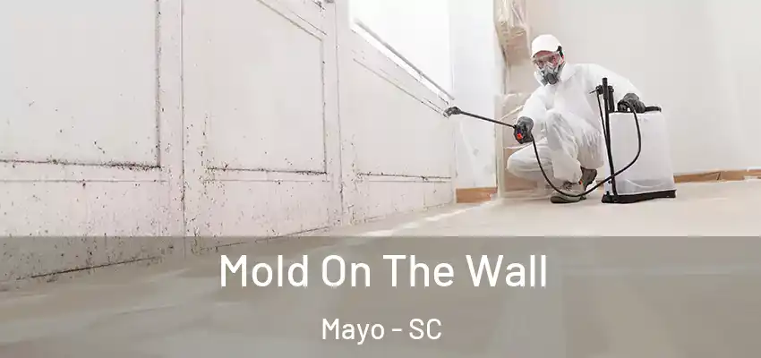 Mold On The Wall Mayo - SC