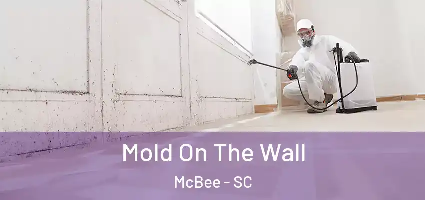 Mold On The Wall McBee - SC
