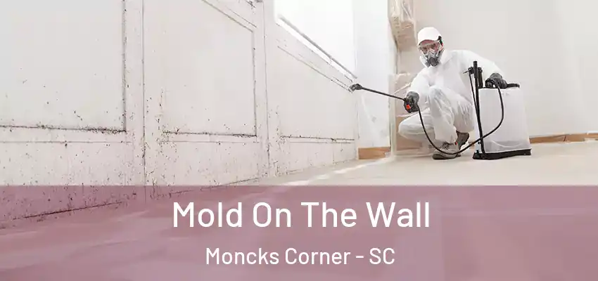  Mold On The Wall Moncks Corner - SC