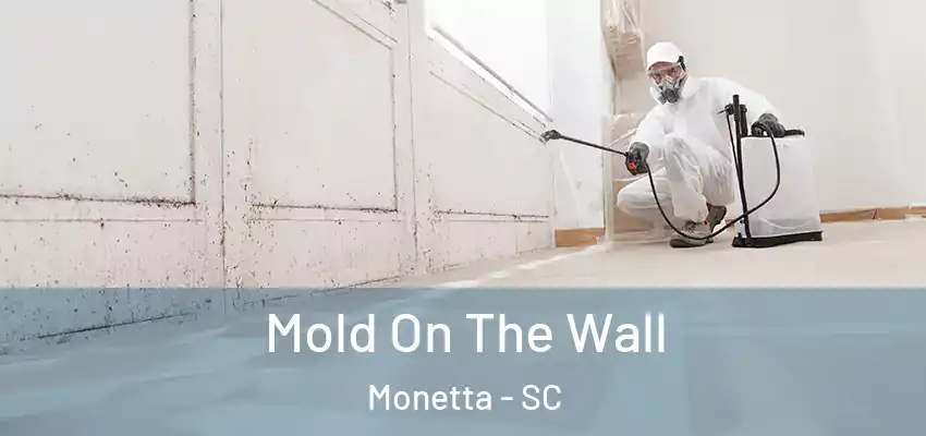 Mold On The Wall Monetta - SC