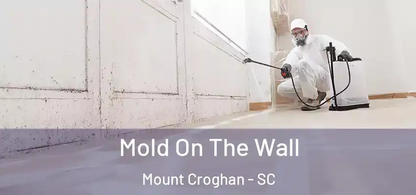  Mold On The Wall Mount Croghan - SC