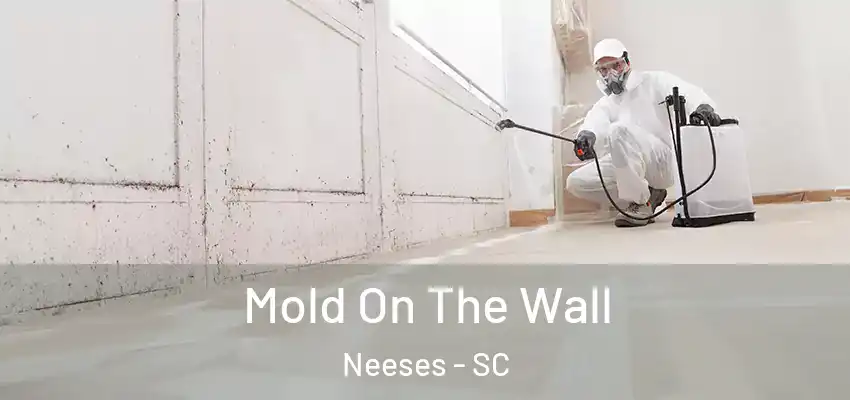  Mold On The Wall Neeses - SC