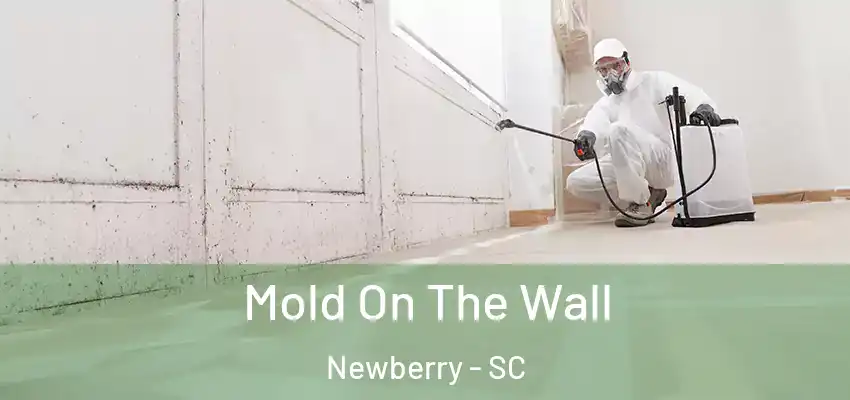  Mold On The Wall Newberry - SC