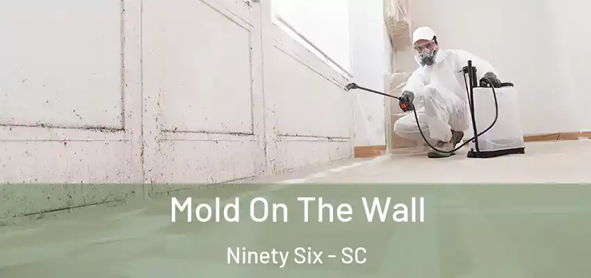  Mold On The Wall Ninety Six - SC
