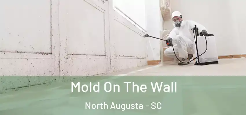  Mold On The Wall North Augusta - SC