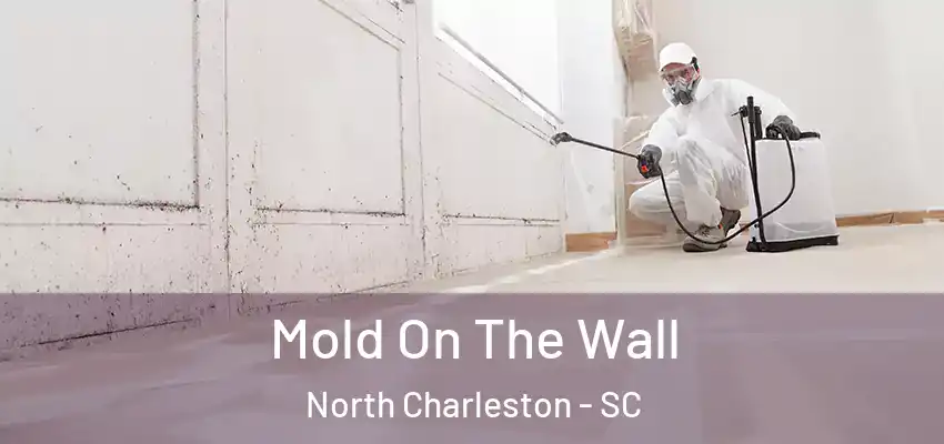  Mold On The Wall North Charleston - SC