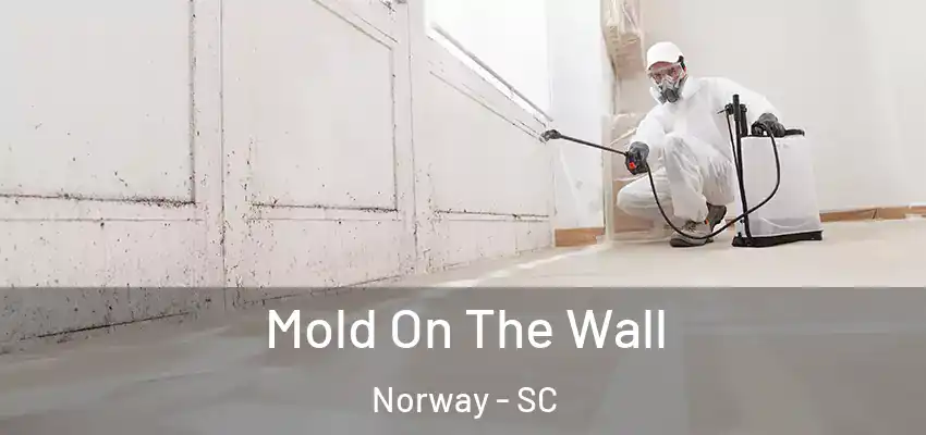 Mold On The Wall Norway - SC