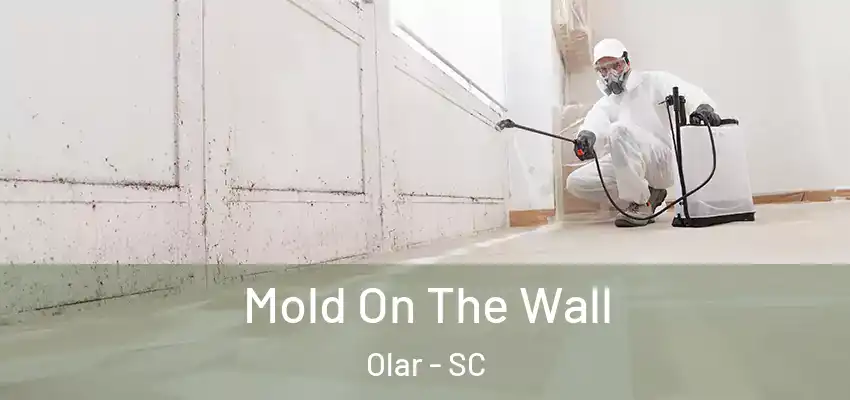  Mold On The Wall Olar - SC