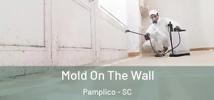  Mold On The Wall Pamplico - SC