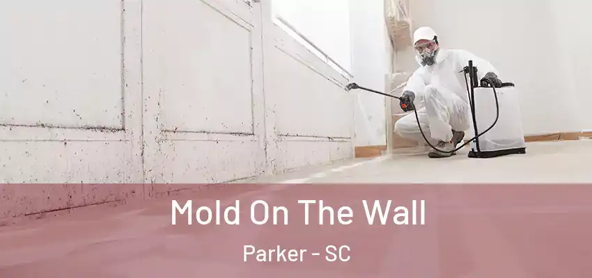  Mold On The Wall Parker - SC
