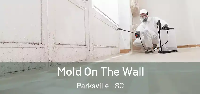 Mold On The Wall Parksville - SC