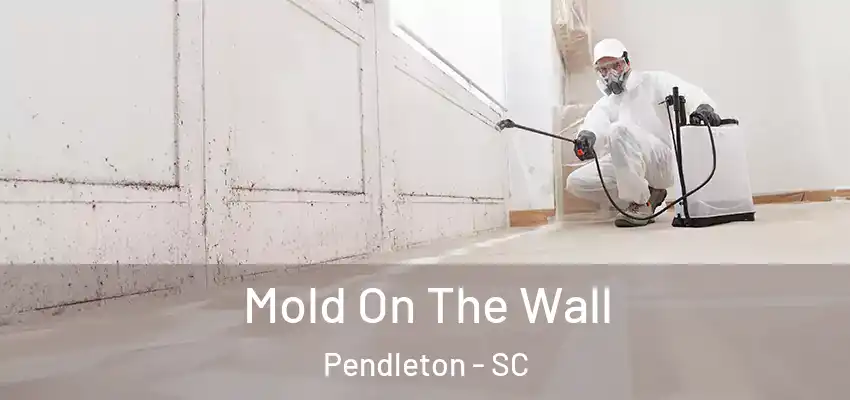 Mold On The Wall Pendleton - SC