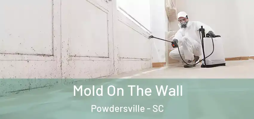  Mold On The Wall Powdersville - SC