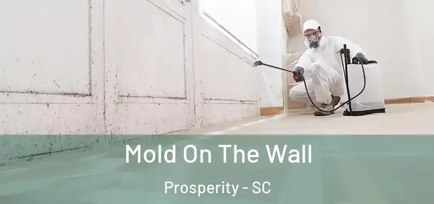  Mold On The Wall Prosperity - SC