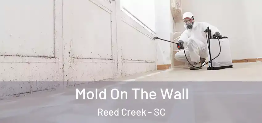  Mold On The Wall Reed Creek - SC