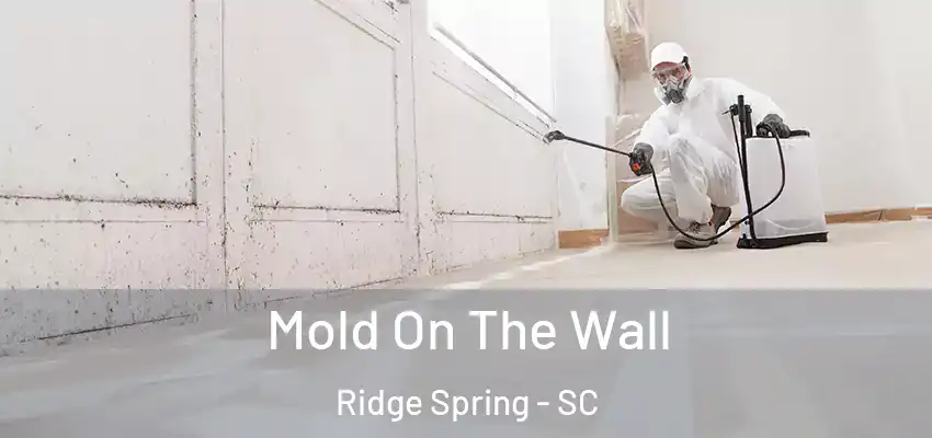 Mold On The Wall Ridge Spring - SC