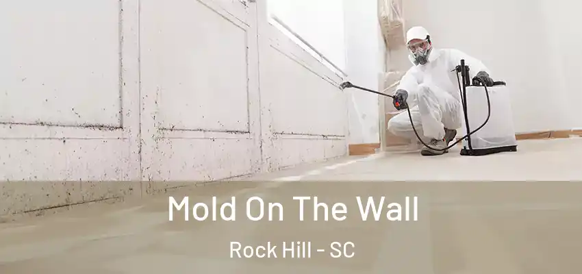 Mold On The Wall Rock Hill - SC
