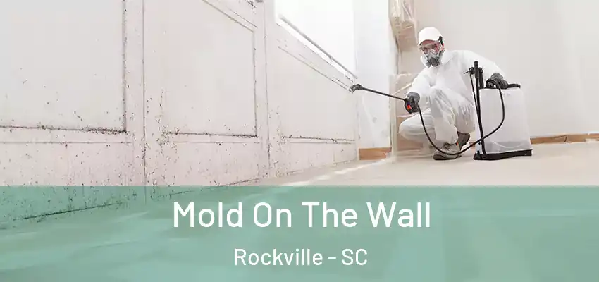 Mold On The Wall Rockville - SC