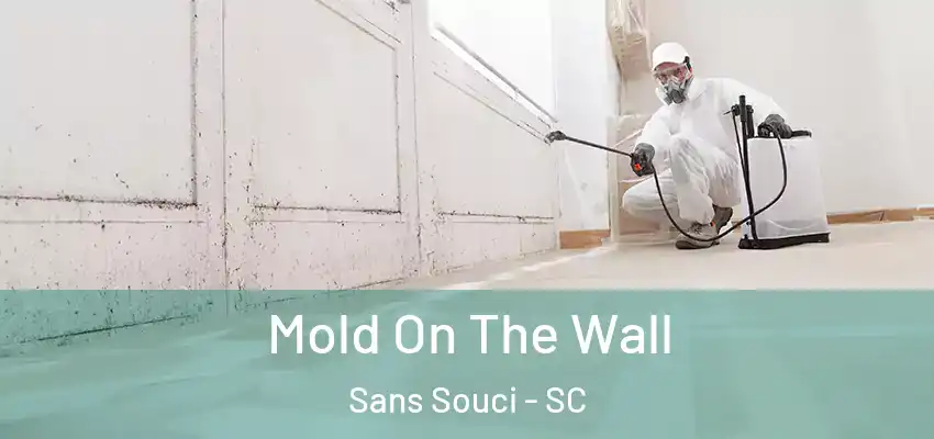  Mold On The Wall Sans Souci - SC