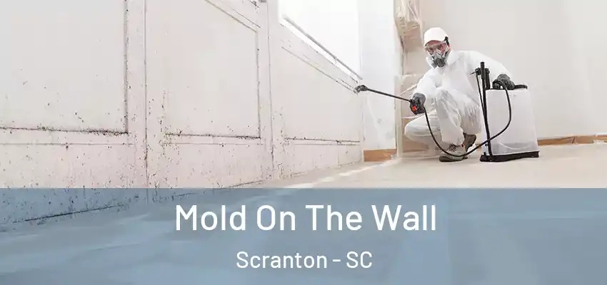  Mold On The Wall Scranton - SC