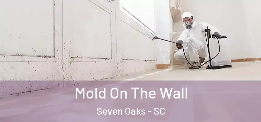 Mold On The Wall Seven Oaks - SC
