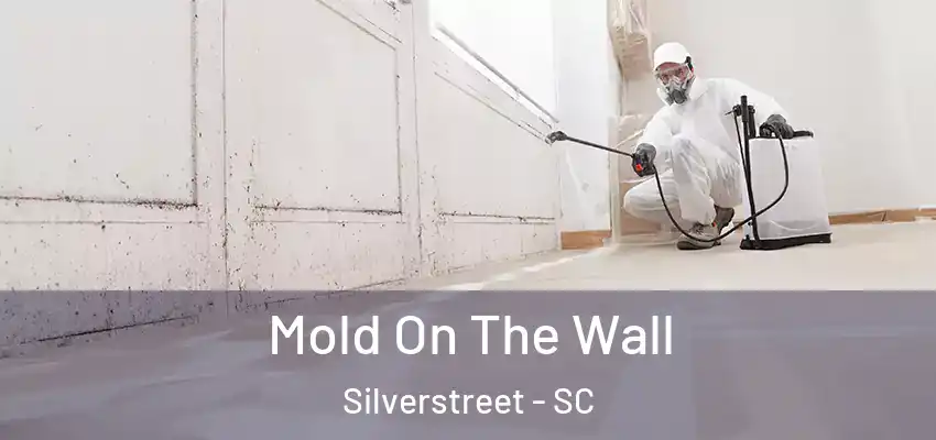  Mold On The Wall Silverstreet - SC