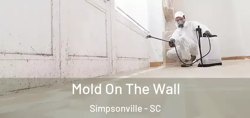  Mold On The Wall Simpsonville - SC