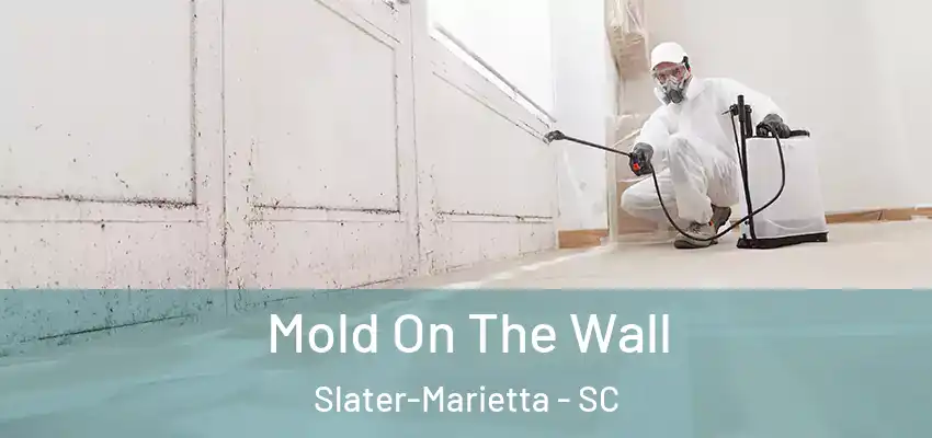  Mold On The Wall Slater-Marietta - SC