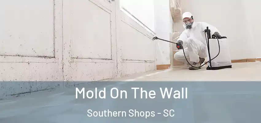  Mold On The Wall Southern Shops - SC