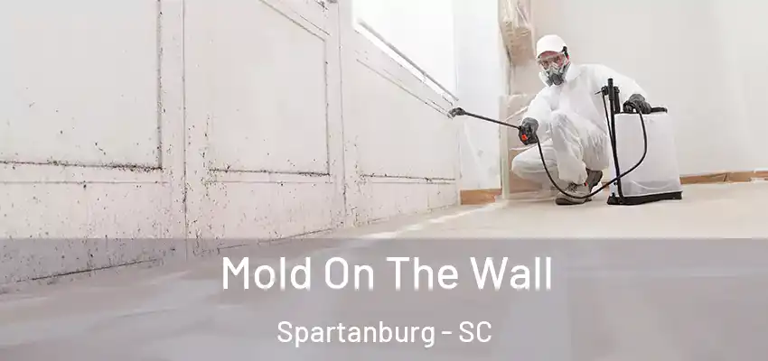  Mold On The Wall Spartanburg - SC