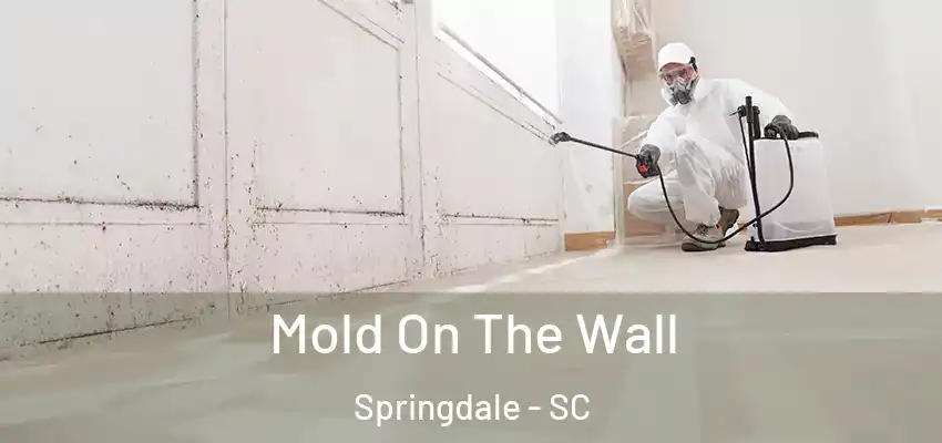  Mold On The Wall Springdale - SC