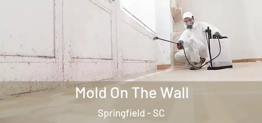 Mold On The Wall Springfield - SC